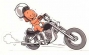 Thierry25550