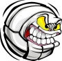 AngryBalls