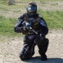vegga