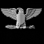 bfly