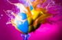 Z3phion