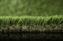 Pelouses Vertes