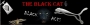 the black cat