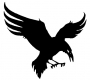 Raven78