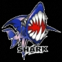 shark