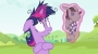 fluttershy