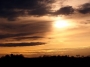 pj_tlse31