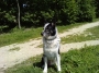 loxy
