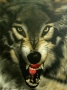El lobo