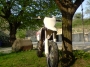 Aymeric-F