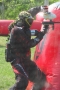 lapin144
